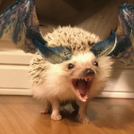 User profile picture